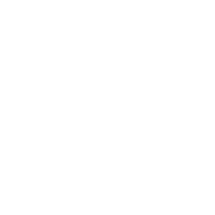 Icon kiểm định